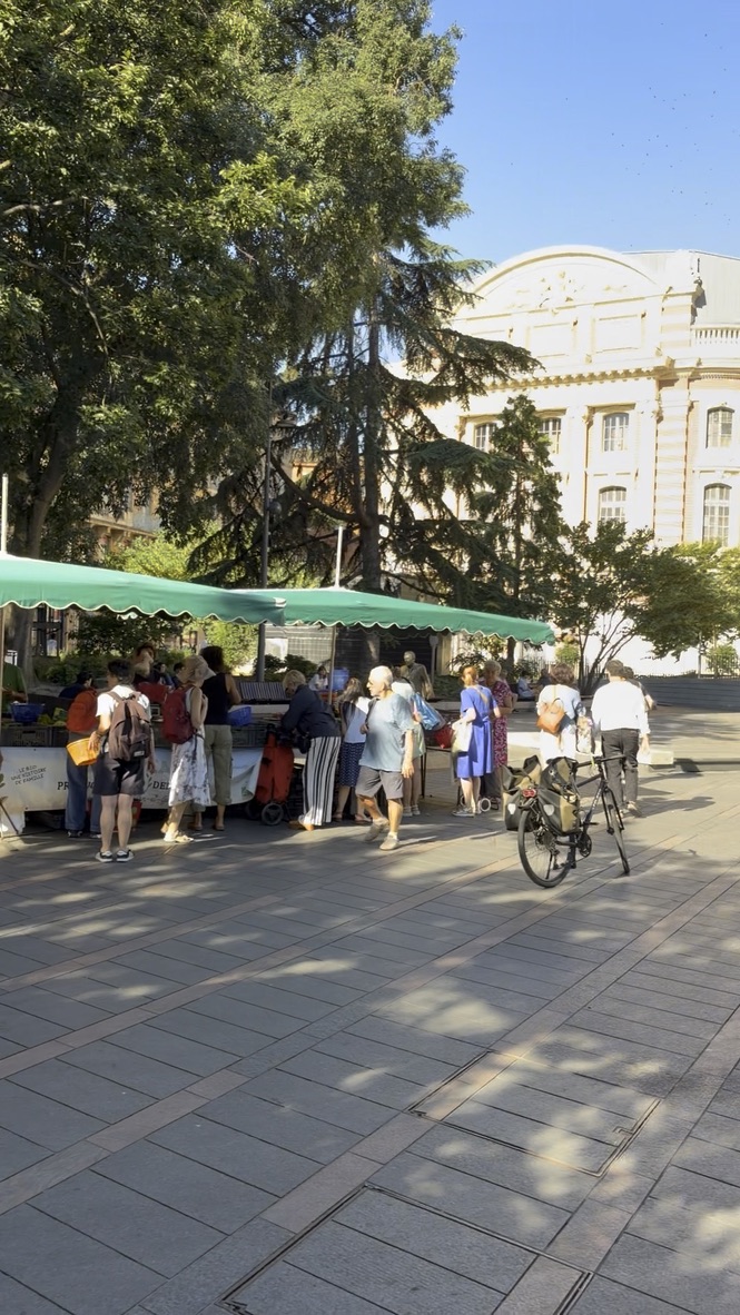 Shoppers gathered around an outdoor market stall on a tree-lined square in Toulouse